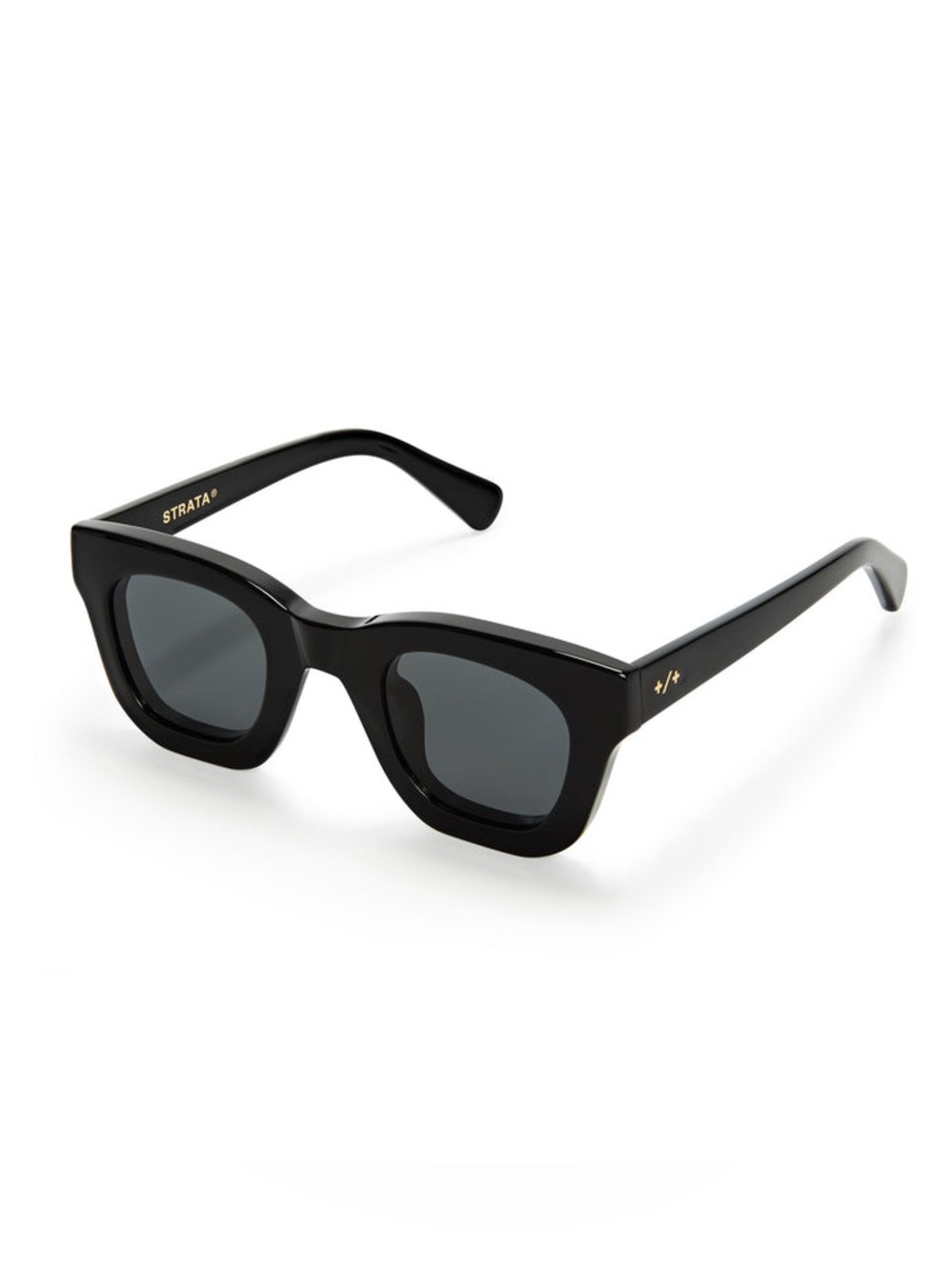 Strata Eyewear Black Glossy Wayfarer Roadcase Sunglasses